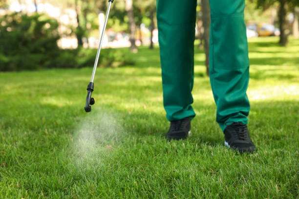 Wasp Removal Services in Garden Ridge, TX